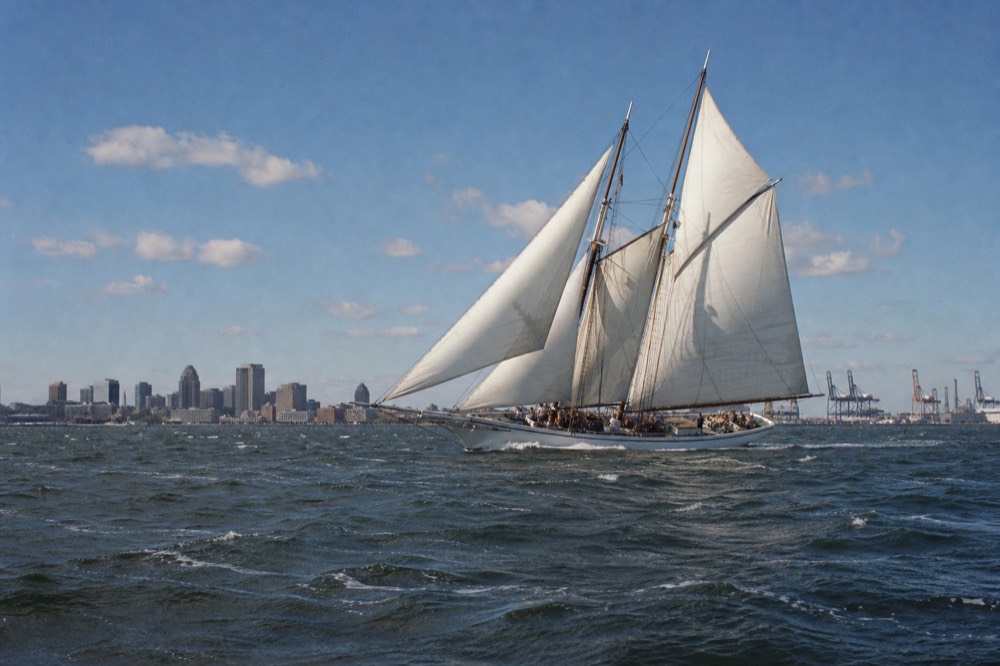 A white schooner heeling under full sail on the open Patapsco River, bright sunlight on the canvas, the Baltimore skyline low on the horizon