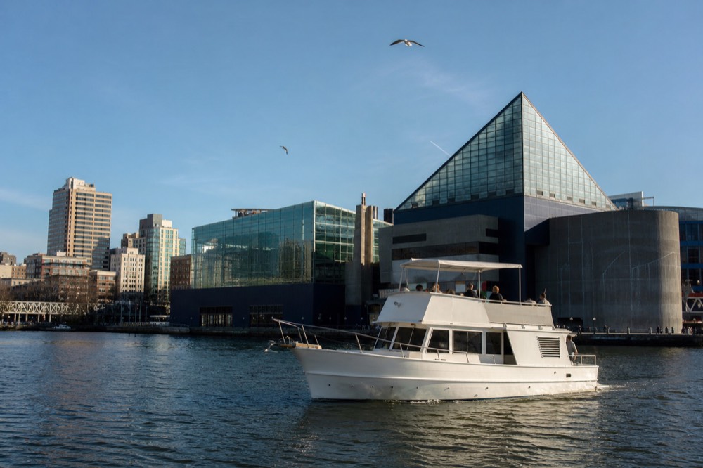 A narrated white motor cruise boat passing the National Aquarium's glass towers on a calm harbor, clear blue sky and gulls overhead